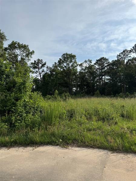 TBD Pine Bend, Cleveland, TX 77327