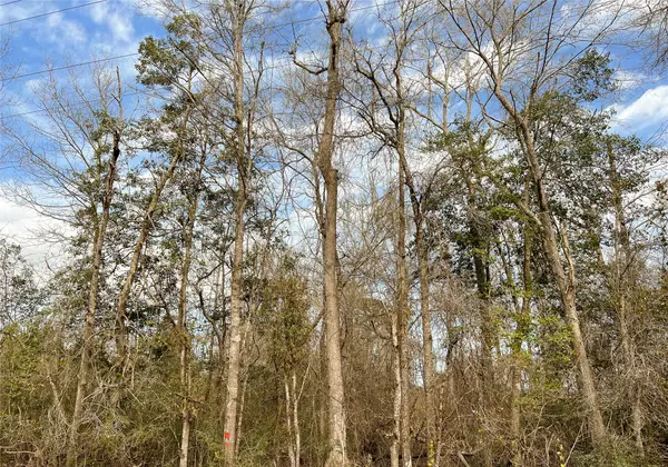 00 FM 1746, Spurger, TX 77660