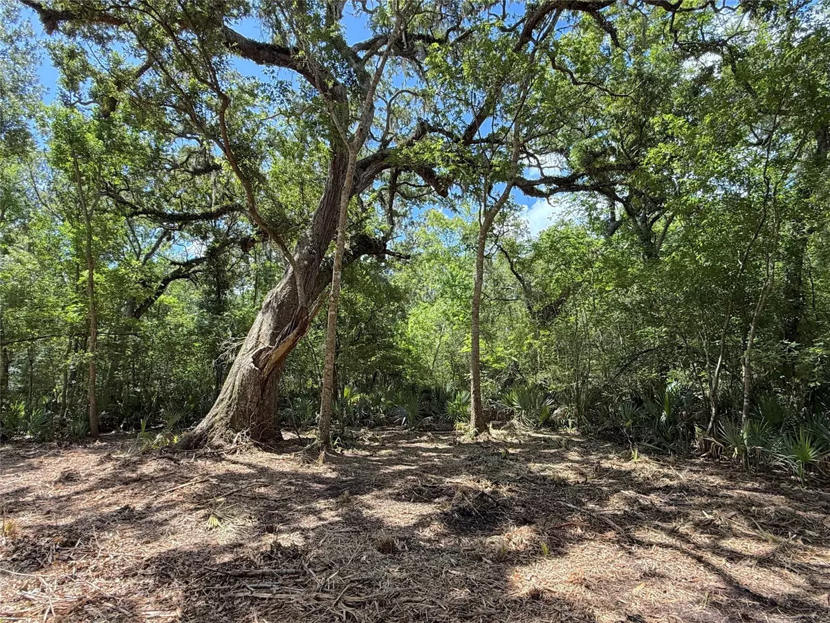 Brazoria, TX 77422,17480 County Road 945