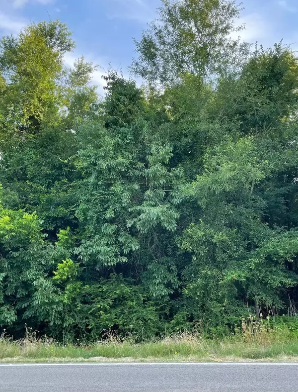 Livingston, TX 77351,TBD FM 3277