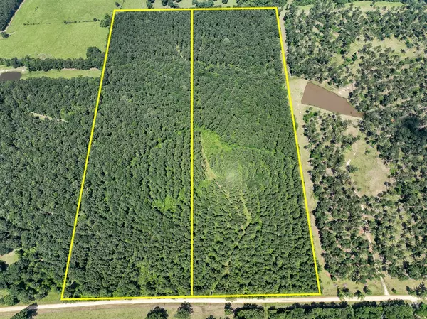 1 Fodice-2 Road, Pennington, TX 75845