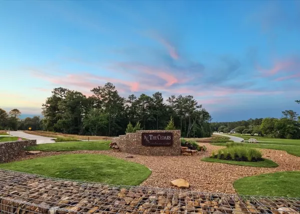 Plantersville, TX 77363,8823 Woodland Oaks DR