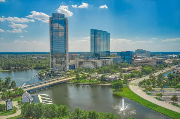 The Woodlands, TX 77382,11 Endor Forest PL