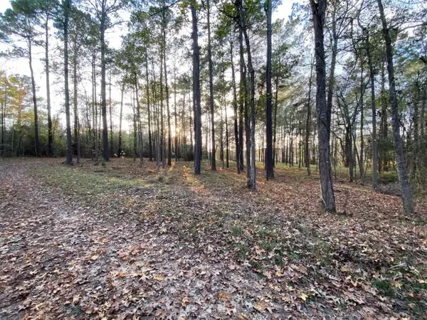 Liberty, TX 77575,15577 Highway 146 N