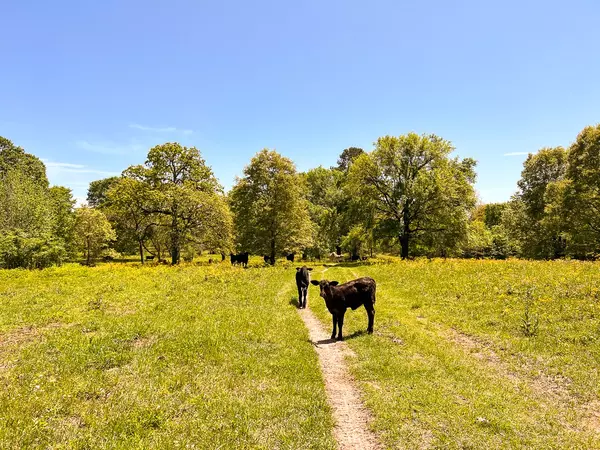 Huntsville, TX 77340,000000 Robinson Creek RD