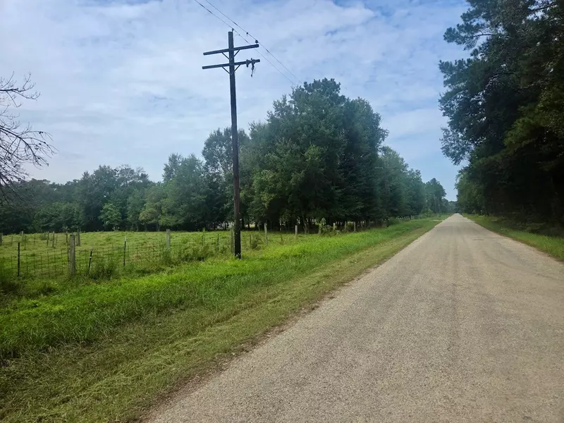 00 Wonderland DR, Shepherd, TX 77371