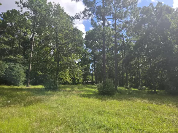 Corrigan, TX 77351,315 Sanders LOOP