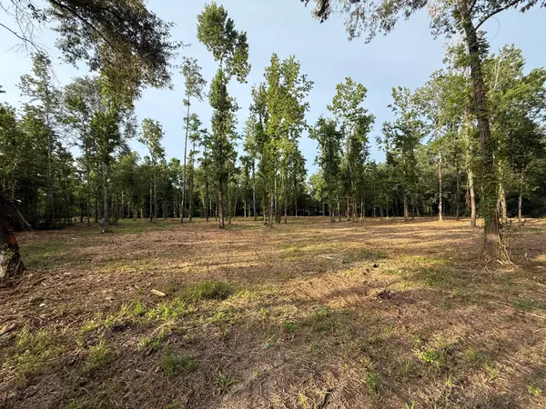 0 Walters RD, Ames, TX 77575