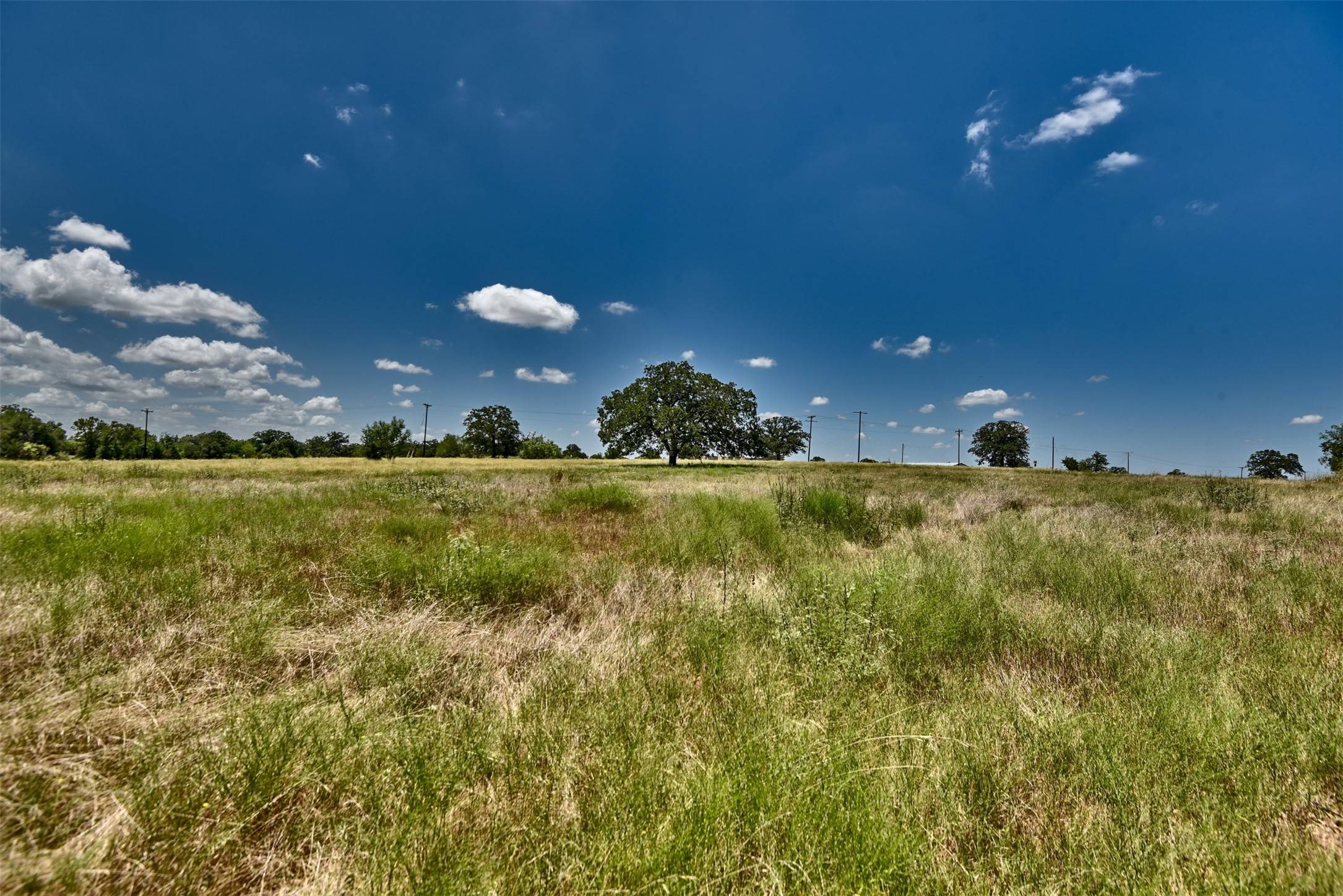 Red Rock, TX 78662,1-13 (2.0 Acres) New Moon CT
