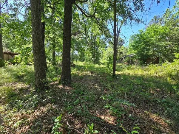 New Caney, TX 77357,21662 Baptist Encampment RD