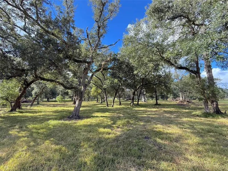 0 Austin DR, West Columbia, TX 77486