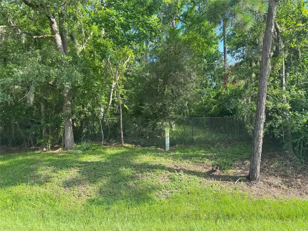 Coldspring, TX 77331,TBD Lakeshore /Black Walnut DR