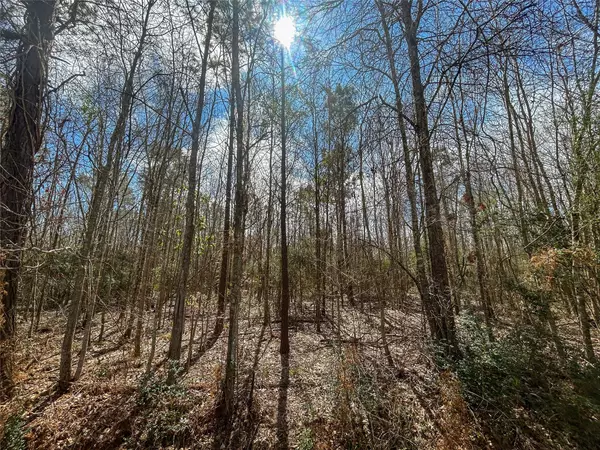 Liberty, TX 77575,1 CR 129