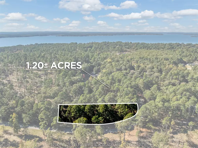 Lot 6 Pintail DR, Flint, TX 75762