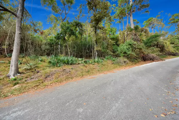 Livingston, TX 77351,Lot 37 Loper Lake DR