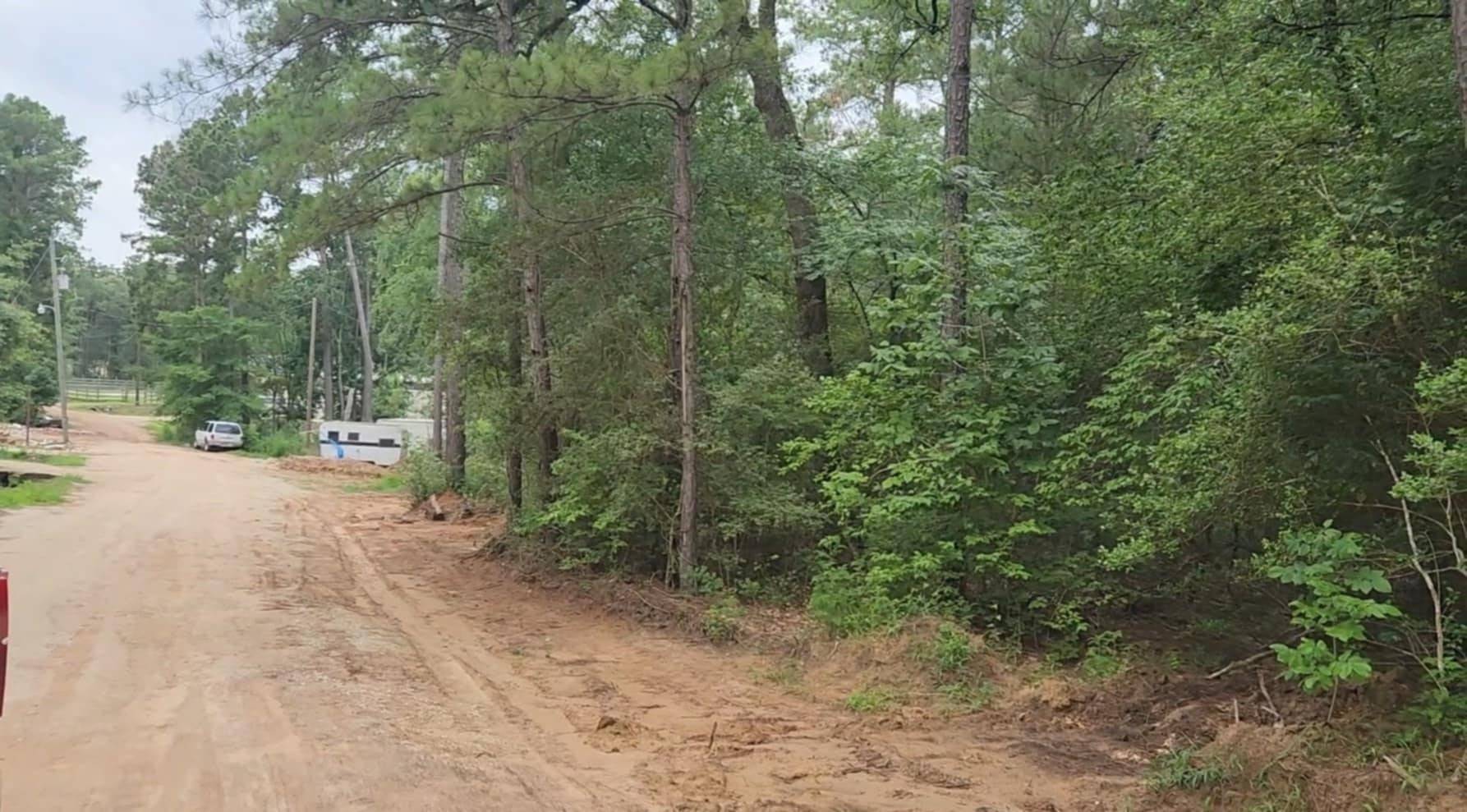 Plantersville, TX 77363,Lot 3 Scarlet Oak DR