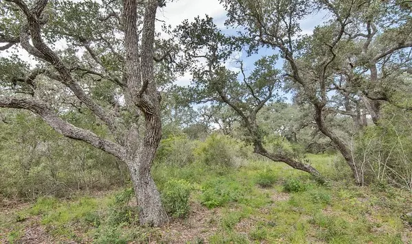 Edna, TX 77957,Tract 10 PR 4061