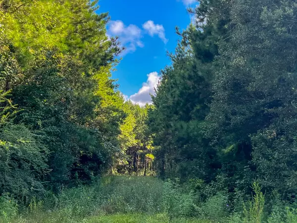 Kirbyville, TX 75956,2 FM 1013