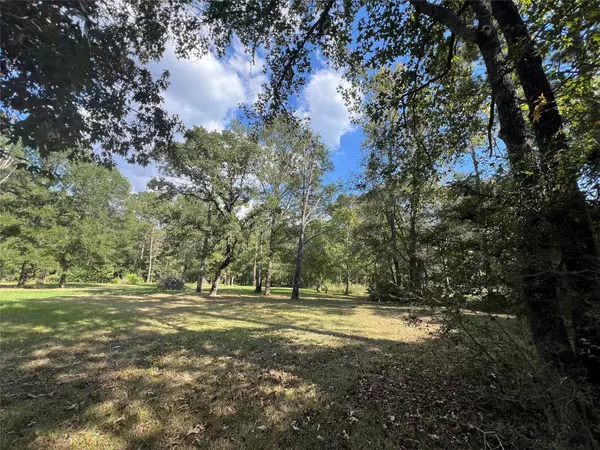 13203 Park AVE, Conroe, TX 77384