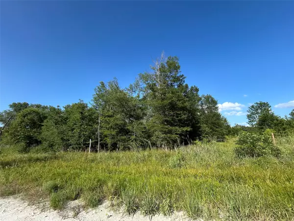 Tract 35 FM 230, Lovelady, TX 77854