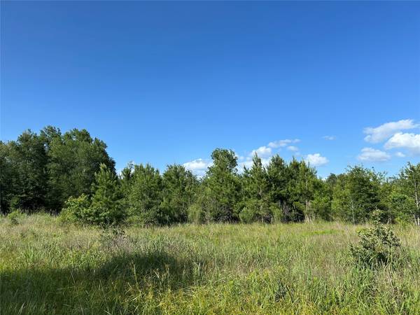 Tract 35 FM 230, Lovelady, TX 77854