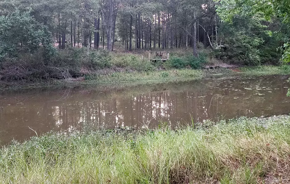 200 Laurel, Onalaska, TX 77360