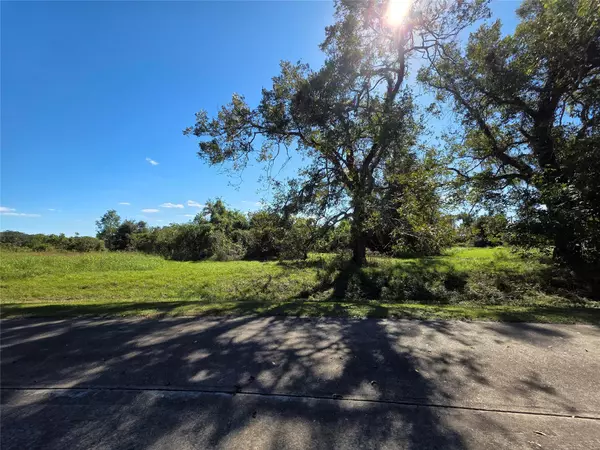 Angleton, TX 77515,0 Wagon Wheel TRL