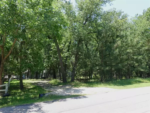 Coldspring, TX 77331,22 Walnut Point DR