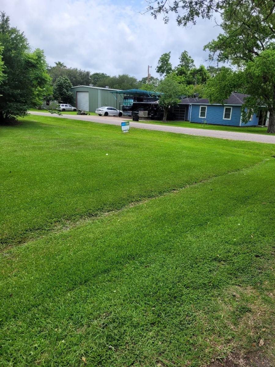 Alvin, TX 77511,1415 W Blum ST