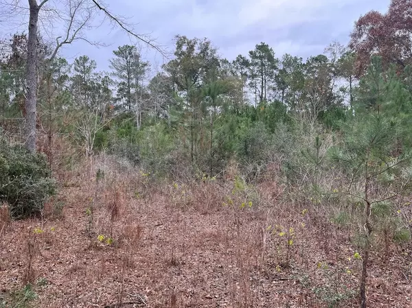 Plantersville, TX 77363,33 Hickory RD