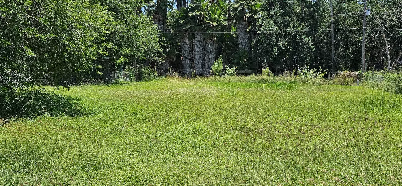 N/A San Miguel ST, Primera, TX 78552