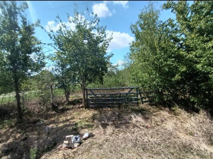 Needville, TX 77461,8214 Noble ST