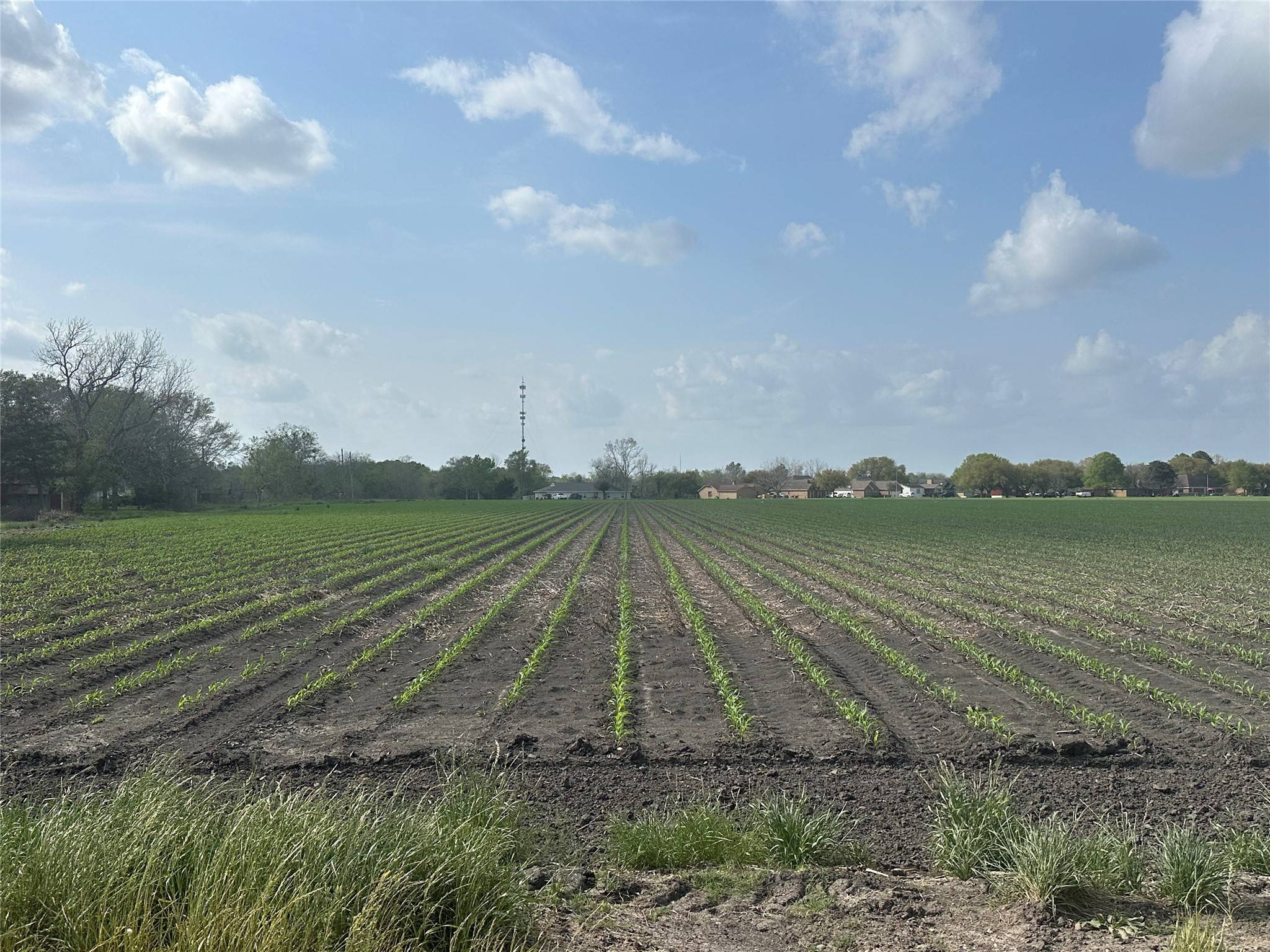 TBD01 Scroggins RD, Wallis, TX 77485