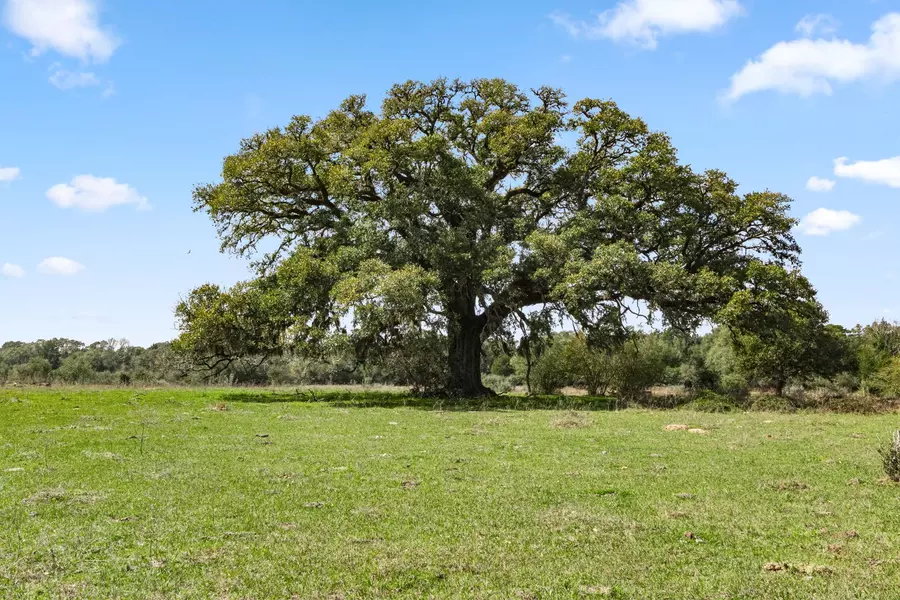 000 Frelsburg RD, Alleyton, TX 78935