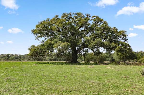 000 Frelsburg RD, Alleyton, TX 78935