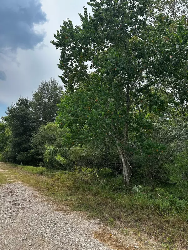 00 Moonshine Hill RD, Humble, TX 77338