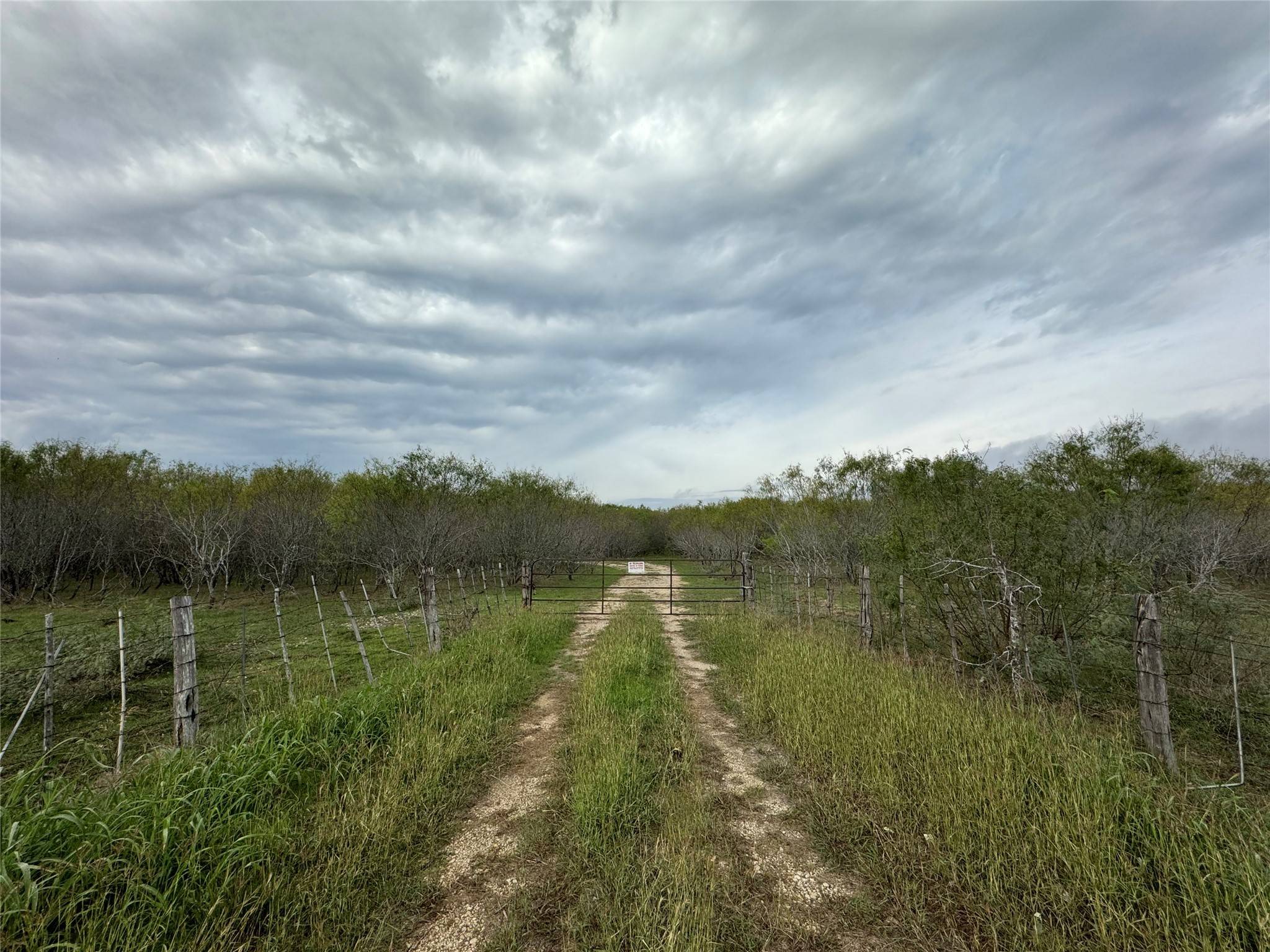 Seguin, TX 78155,0 Fm 1117
