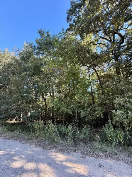 N/a Lot 87 Tomahawk TRL, Livingston, TX 77351