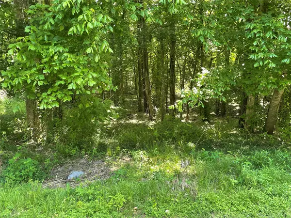 TBD County Road 2166,  Cleveland,  TX 77327