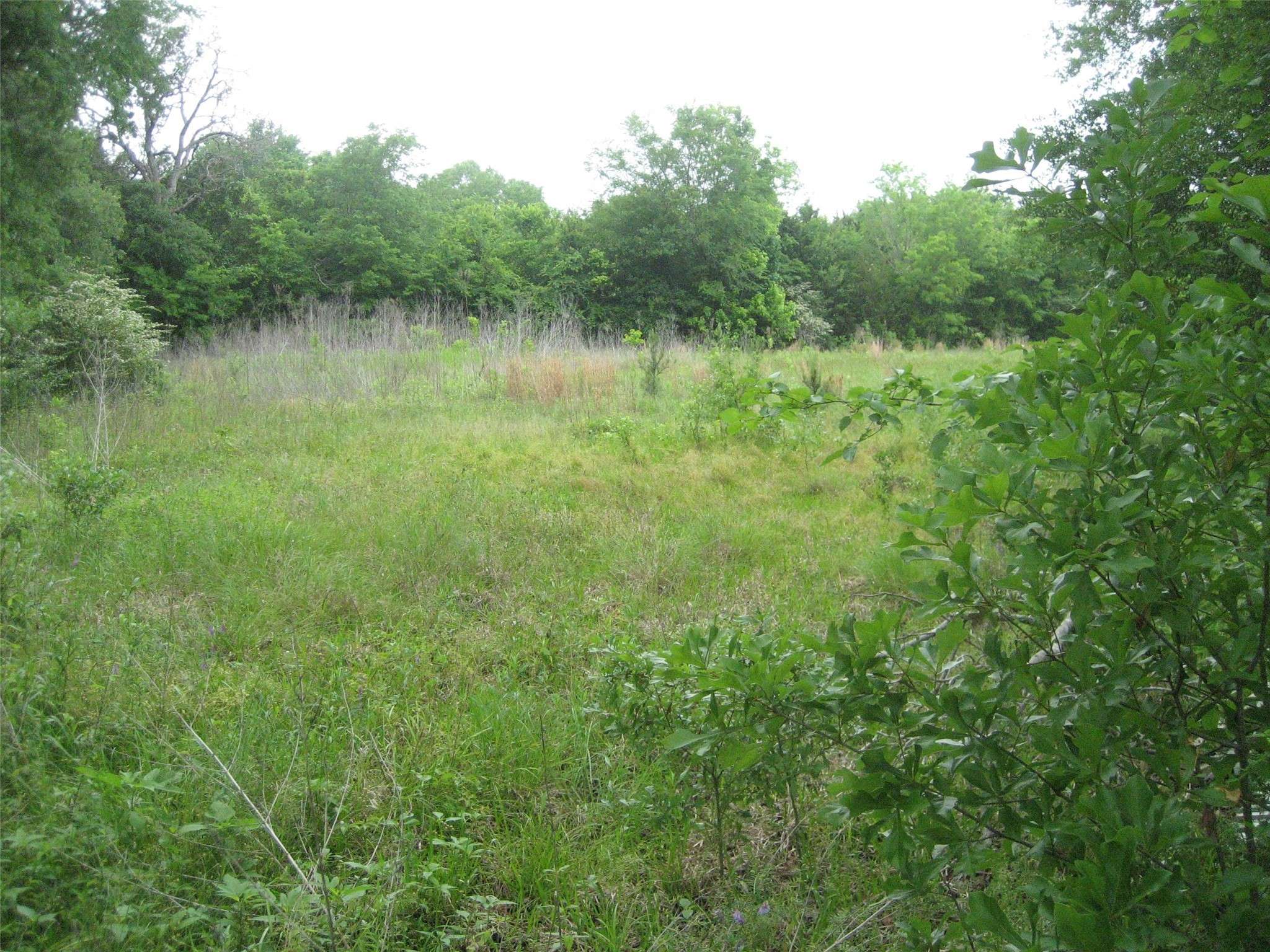 Elkhart, TX 75839,409 S State Hwy 19