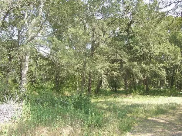 Simonton, TX 77485,001 Boot Hill RD