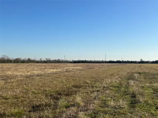 Algoa, TX 77511,Lot 4 Rymal Ranch Road