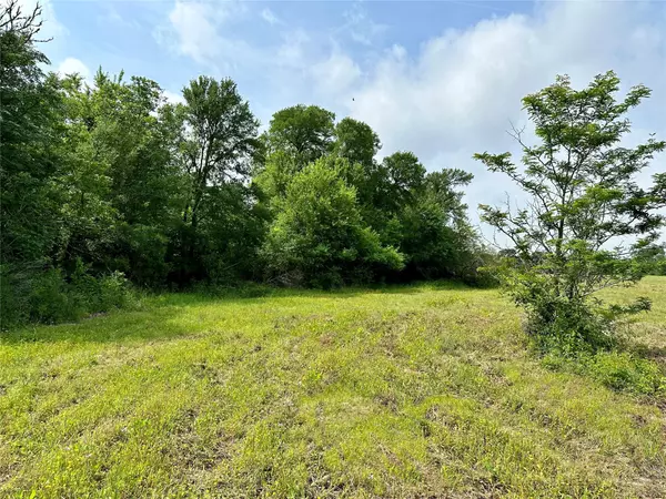 Brenham, TX 77833,0000 Quarry RD