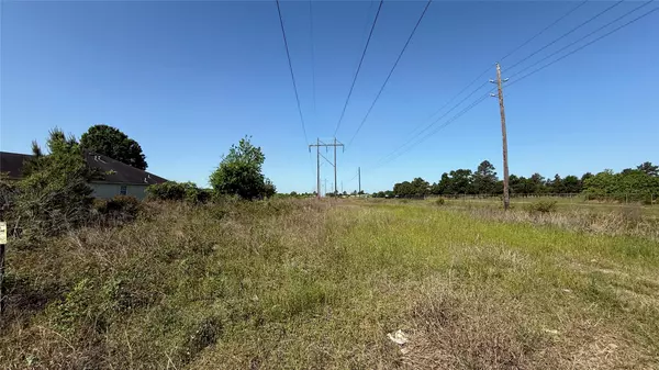 Hockley, TX 77447,0 Lazy Kay LN