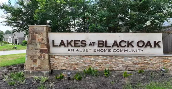 Magnolia, TX 77354,227 Brazen Forest TRL