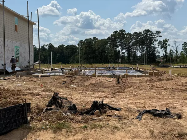 Magnolia, TX 77354,206 Brazen Forest TRL