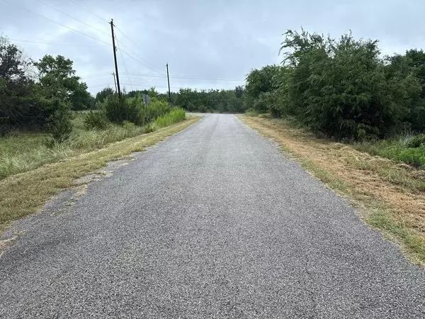 Bluff Dale, TX 76433,215 Pinnacle Court