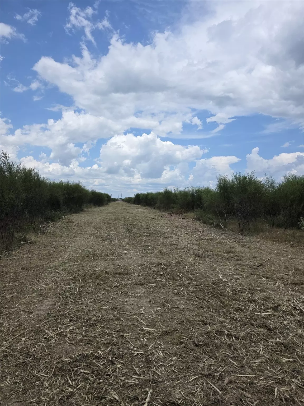 Hempstead, TX 77445,36847 Richard Frey 1-13 RD #13