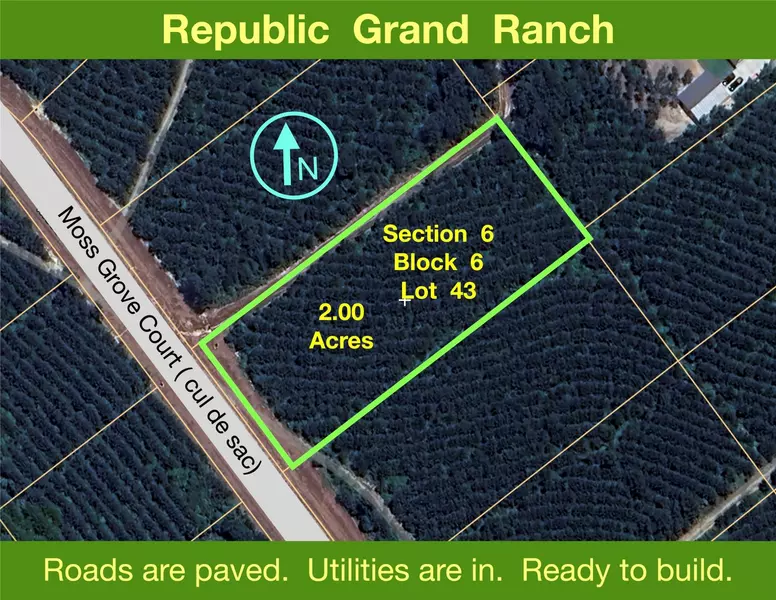 11855 Moss Grove CT, Willis, TX 77378