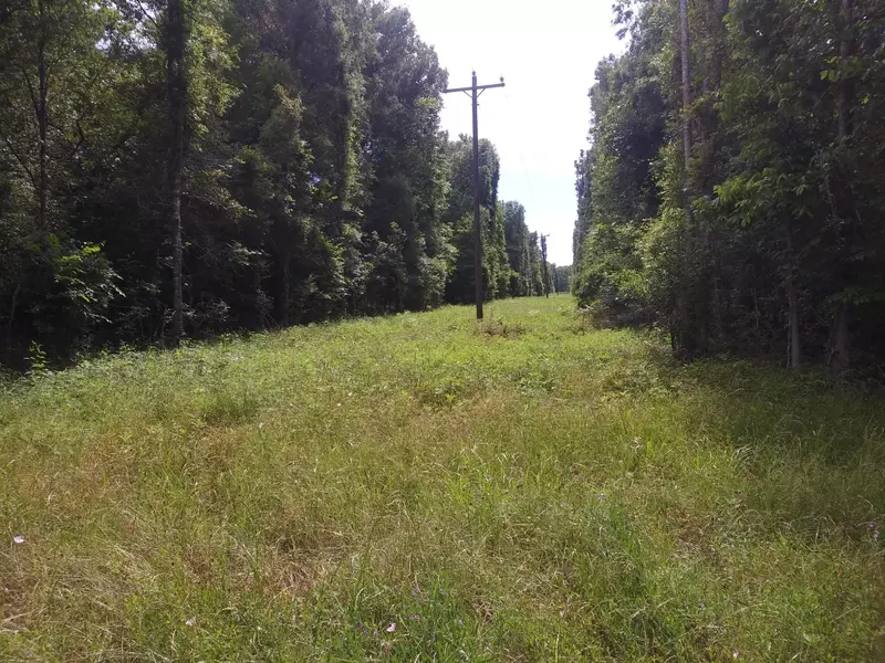 TBD County Road 2853, Cleveland, TX 77327